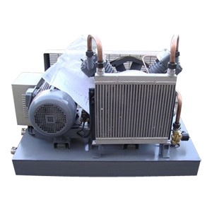 氮?dú)鈮嚎s機(jī)